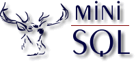 msql.gif (5958 bytes)