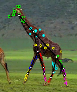 articulated model of a giraffe