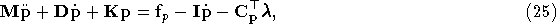 equation389