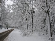 snow scene