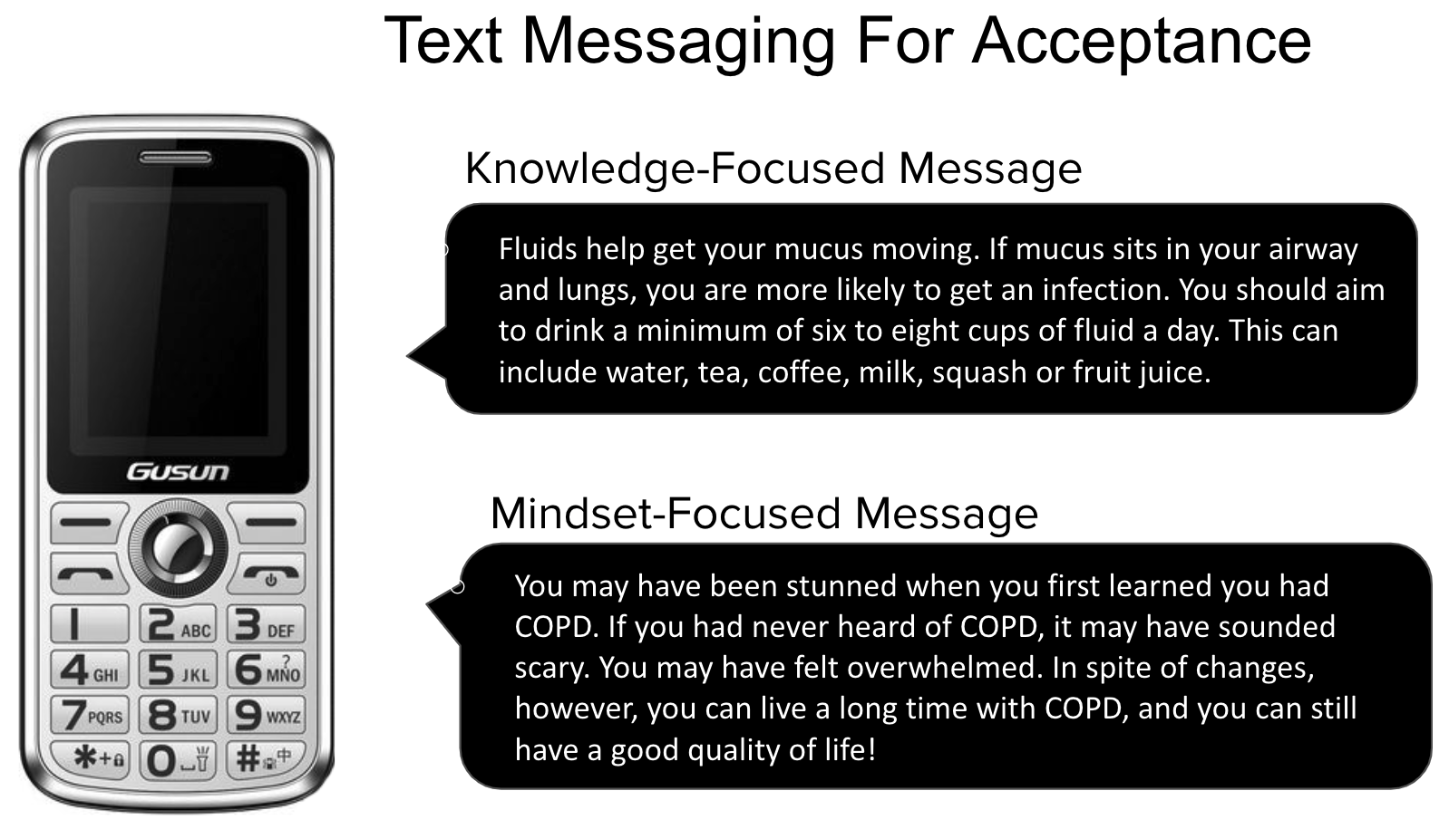 Thumbnail for 'Evaluating the Gradual Delivery of Knowledge-focused and Mindset-focused Messages for Facilitating the Acceptance of COPD'