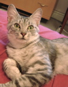 Louisa