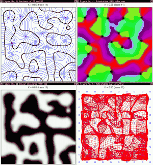 [Image: 2_Ns1b100.gif]