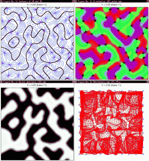 [Image: 2_Ns2b100.gif]