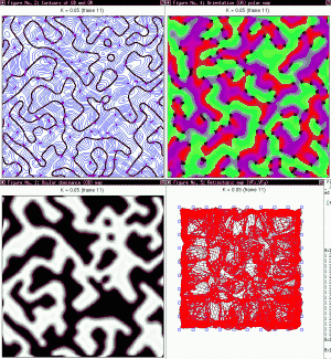 [Image: 2_Ns4b100.gif]
