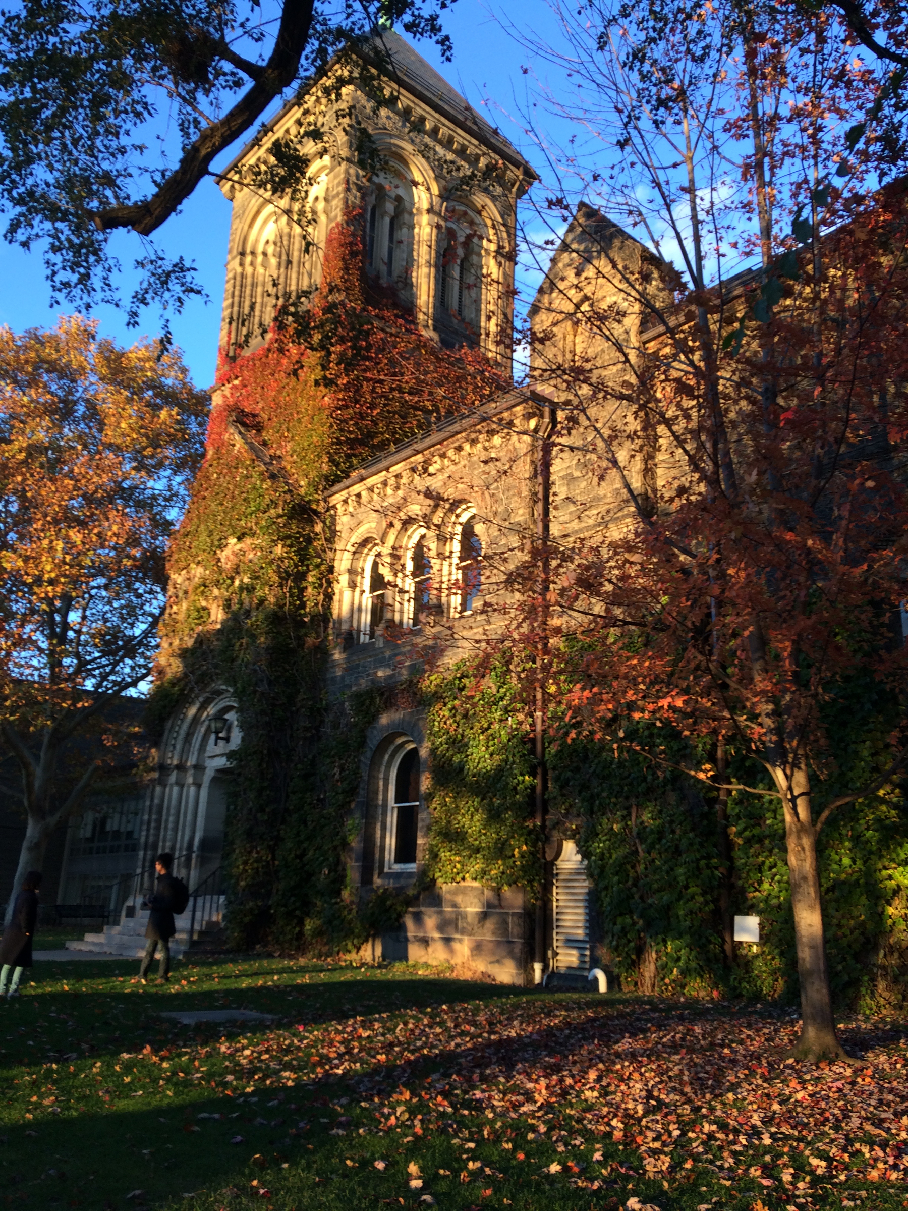 Sigmund Samuel Library Bldg