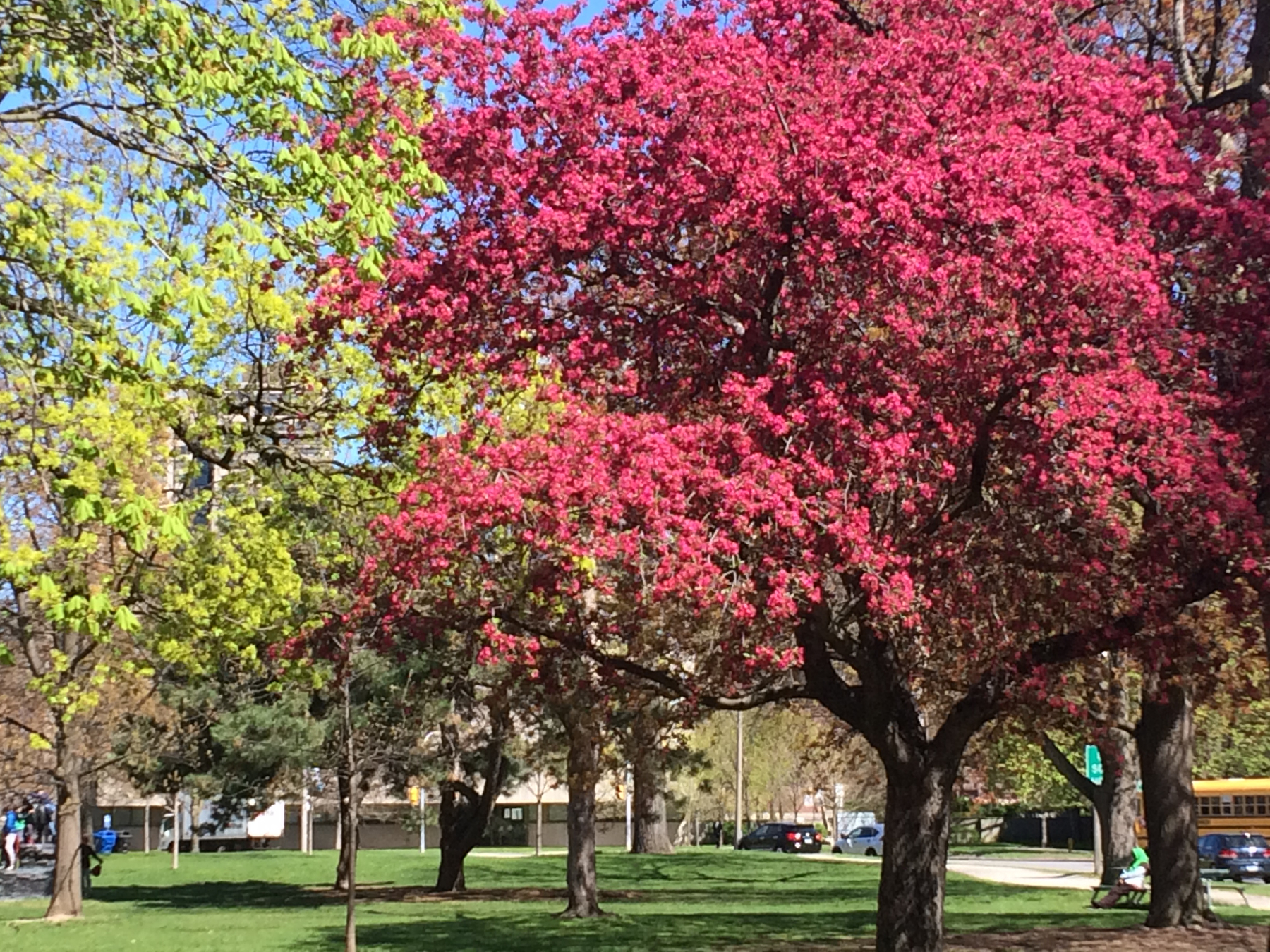 Queen's Park