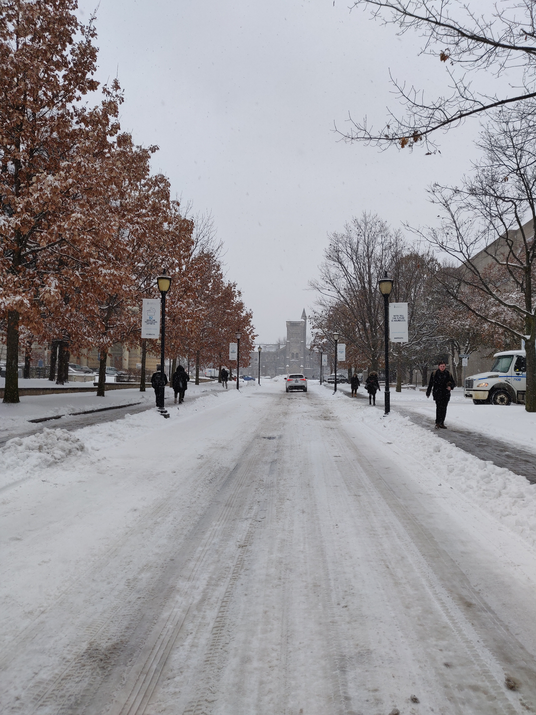 King's College Rd