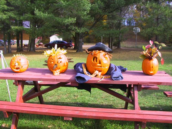 30 - All the pumpkins I.JPG