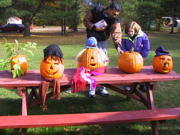 31 - All the pumpkins II.JPG