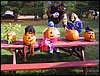 31 - All the pumpkins II.JPG