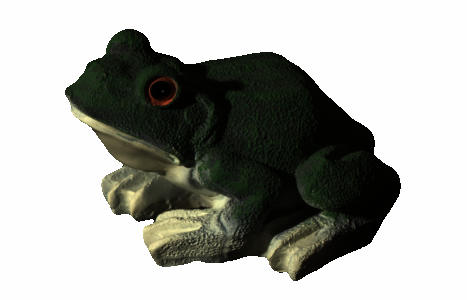 frog1