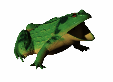 frog2