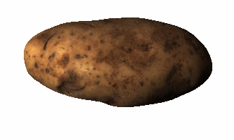 potato