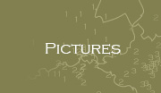 Pictures