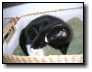 [DSCN1168.jpg]