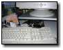 [DSCN1244.jpg]