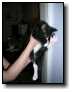 [DSCN1246.jpg]