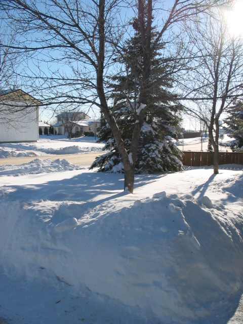 Big Snowbanks by the Driveway :)