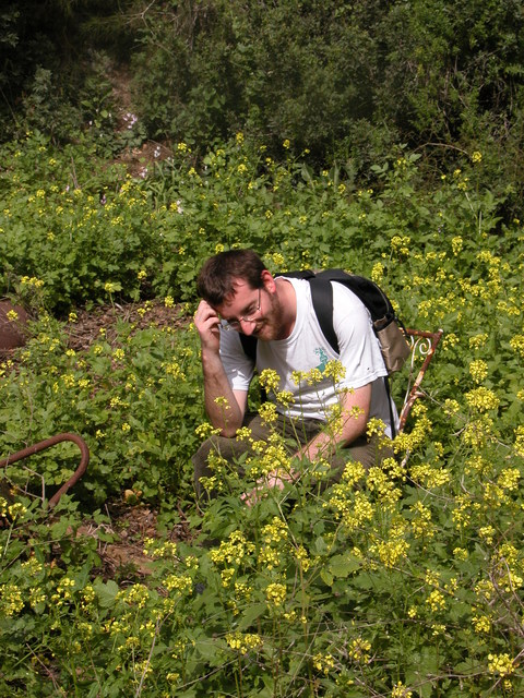 free download topics in algebra herstein