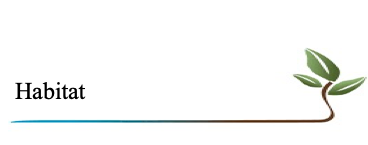 Habitat