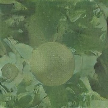 retrieved orange
