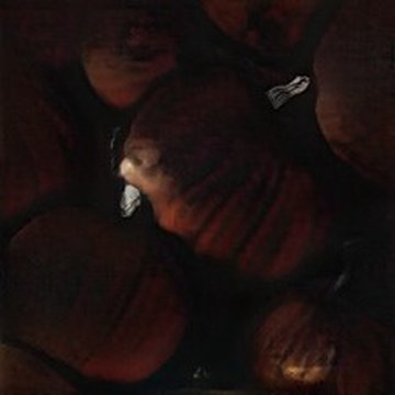 retrieved pumpkin