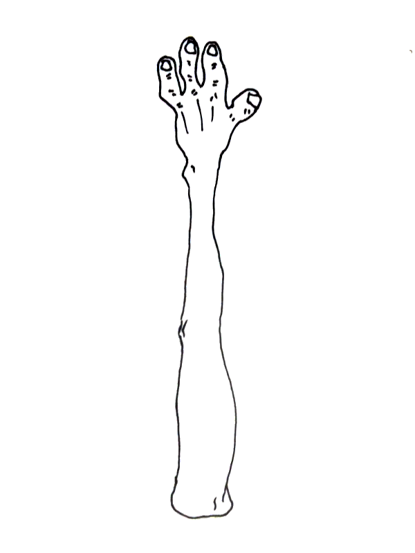 arm automatic