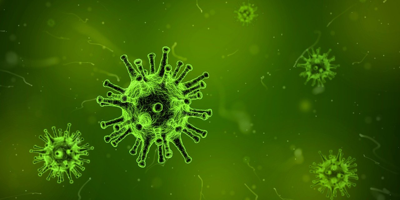 Visual representation of Covid19 viruses under electron microscope