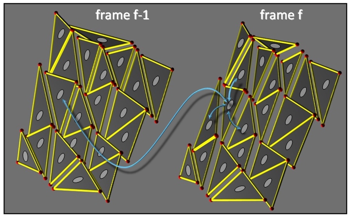 Edges of MRF for Flips