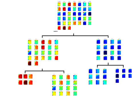Partitive Tree