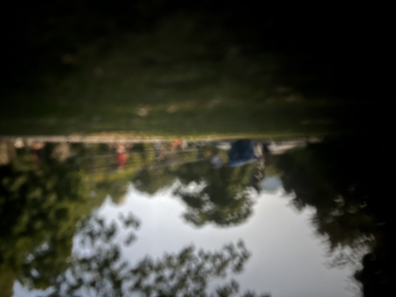 Queens Park 5