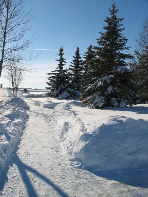 Another Big Snowbank